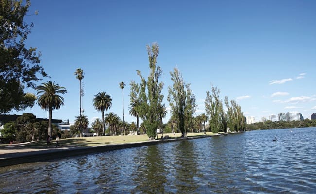メルボルン最大の公園、アルバート･パーク。中心部の湖は湿地帯であった名残だ