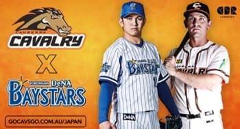 横浜DeNAベイスターズとの提携を伝える豪プロ野球チーム、キャンベラ･キャバルリーの広告