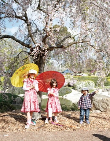 © Naoto. Ijichi 迫力満点の抜刀デモンストレーション しだれ桜の前は人気のフォト･スポット