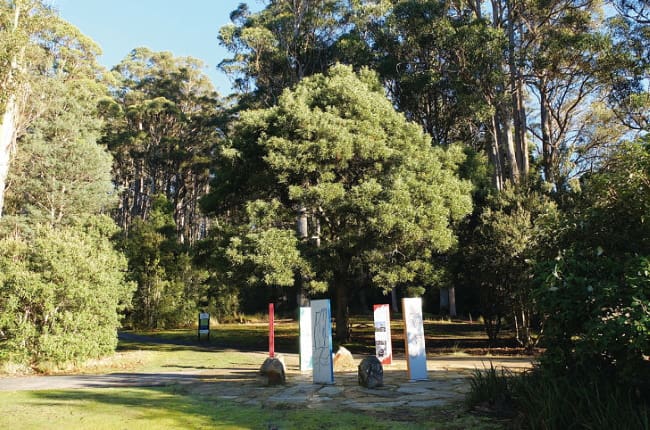 マウント･フィールド国立公園入り口のブラックウッド