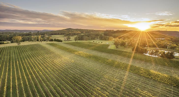 サザン･ハイランズのバウラルにあるワイナリー「センテニアル･バインヤーズ」（Centennial Vineyards）の朝焼け（Photo: Destination NSW）