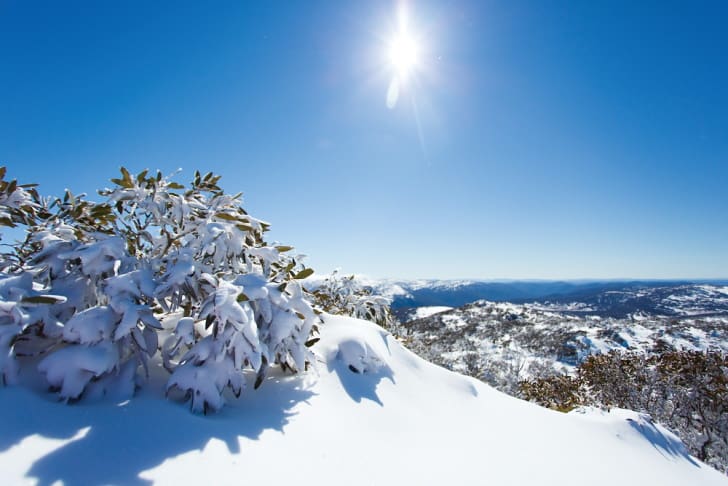 南半球最大規模のスキー･リゾートであるペリシャーの
絶景（Photo: Perisher）