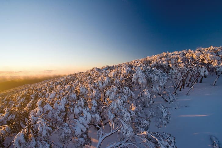 透き通った青空に映える雪山の景色も堪能したい（Photo: Visit Victoria）