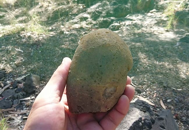 掘り出したばかりの大物の馬鈴薯瑪瑙