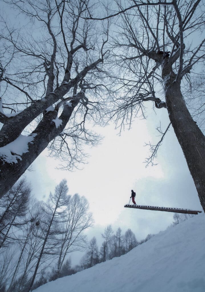 MADARAO KOGEN─The Largest Menagerie of Tree Runs in Japan – NICHIGO PRESS