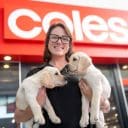 coles_dogs